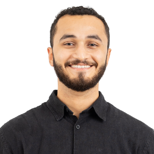 Ahmed Ali